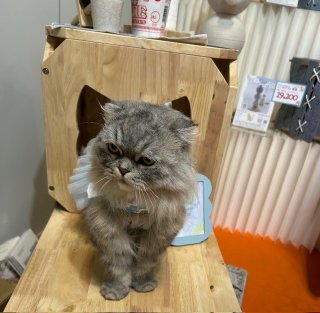 ご好評につき特別セール期間を延長します！