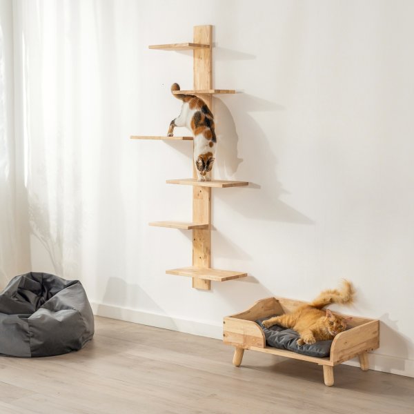 画像2: 【Natural Signature オリジナル】　ネコベッド (2)