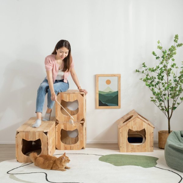 画像5: 【Natural Signature オリジナル】　ネコベンチ (5)