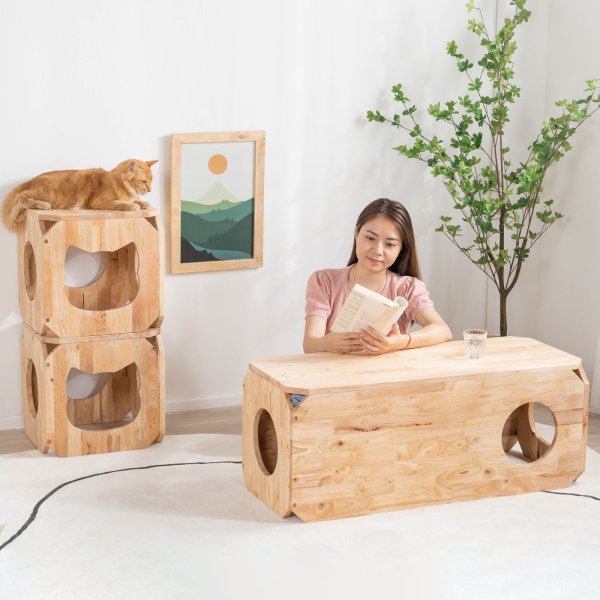 画像2: 【Natural Signature オリジナル】　ネコベンチ (2)