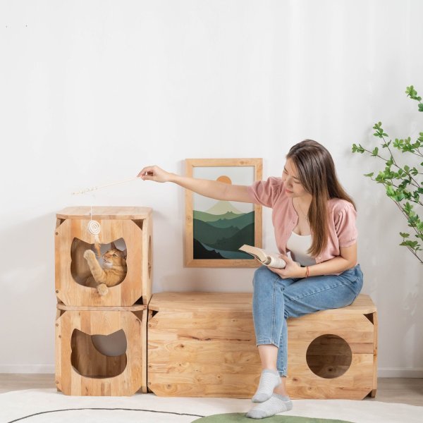 画像3: 【Natural Signature オリジナル】　ネコベンチ (3)