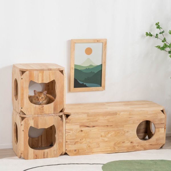 画像4: 【Natural Signature オリジナル】　ネコベンチ (4)