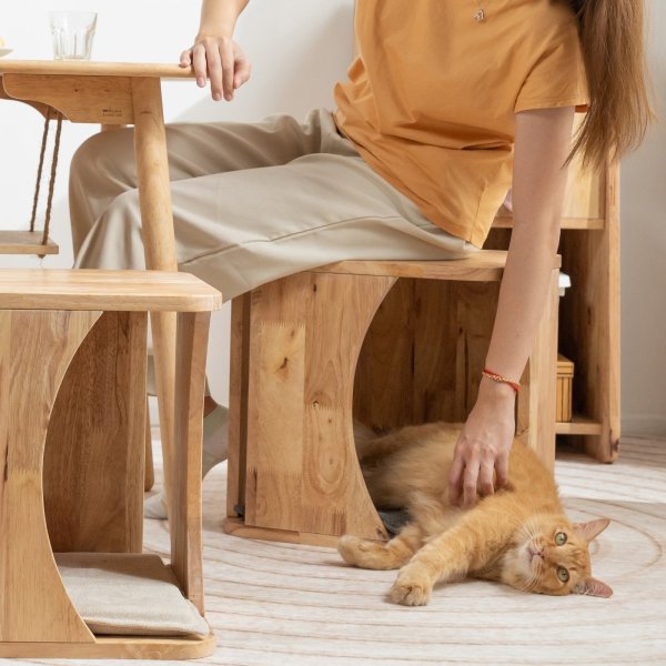 画像3: 【Natural Signature オリジナル】　ペットスツール (3)