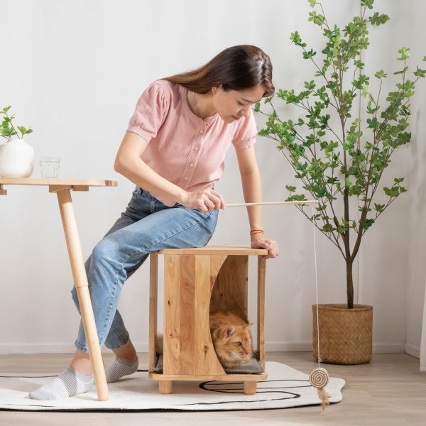 画像6: 【Natural Signature オリジナル】　ペットスツール (6)