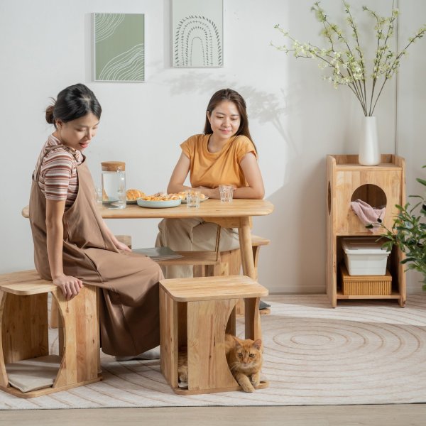 画像5: 【Natural Signature オリジナル】　ペットスツール (5)