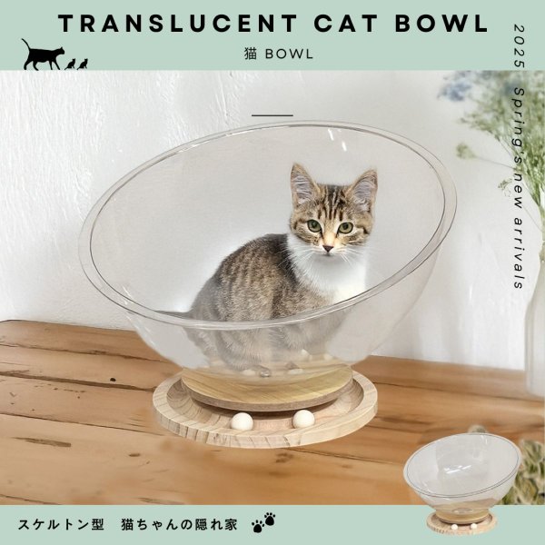 画像1: 猫　Bowl (1)