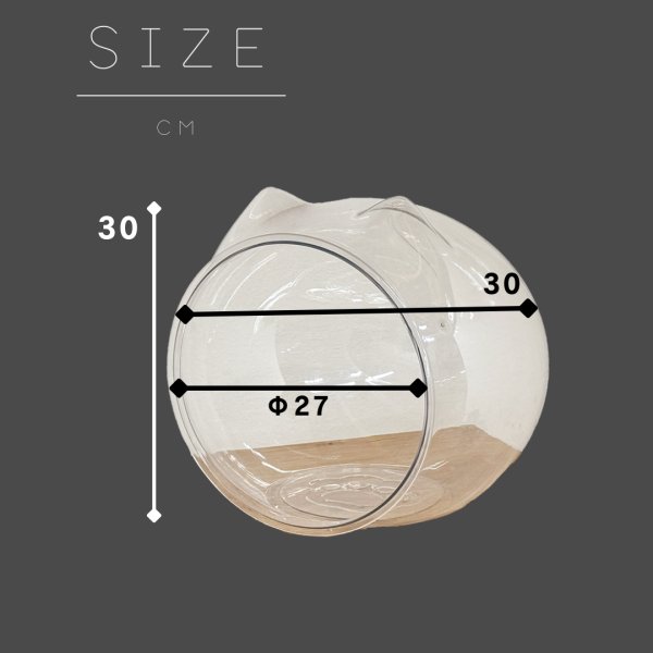 画像5: 猫　Ear (5)