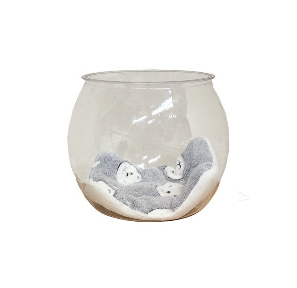 画像9: 猫の金魚鉢 (9)