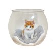 画像4: 猫の金魚鉢 (4)