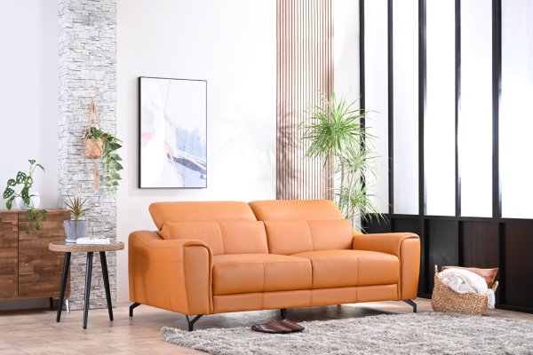 画像1: 【直輸入オリジナル】マーズ　2.5人掛けソファ (1)