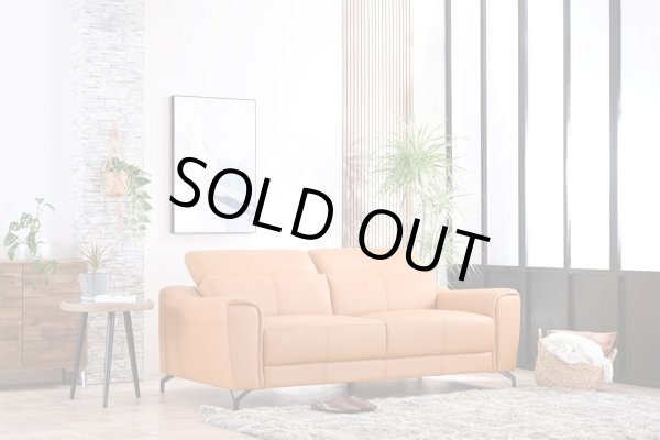 画像1: 【直輸入オリジナル】マーズ　2.5人掛けソファ (1)