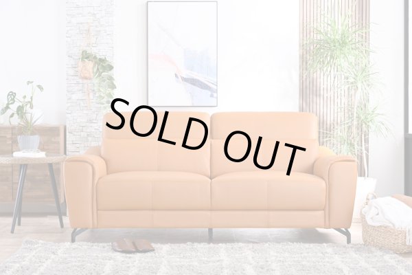 画像7: 【直輸入オリジナル】マーズ　2.5人掛けソファ (7)