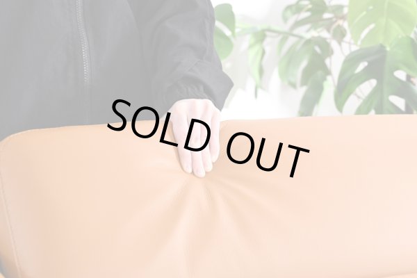 画像2: 【直輸入オリジナル】マーズ　2.5人掛けソファ (2)