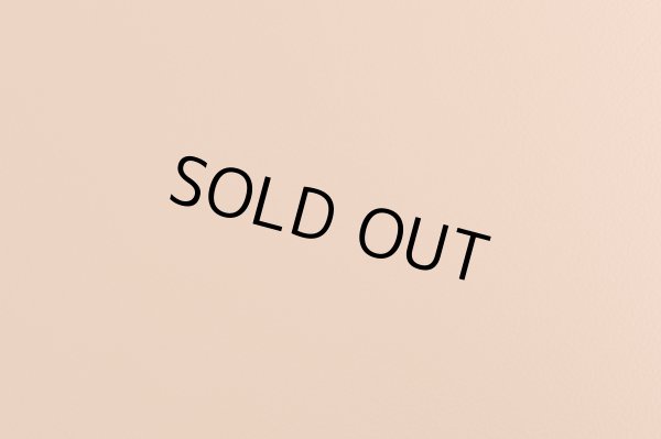 画像9: 【直輸入オリジナル】マーズ　2.5人掛けソファ (9)