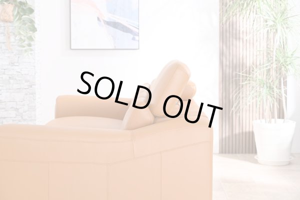 画像4: 【直輸入オリジナル】マーズ　2.5人掛けソファ (4)