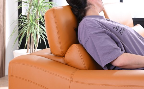 画像3: 【直輸入オリジナル】マーズ　2.5人掛けソファ (3)