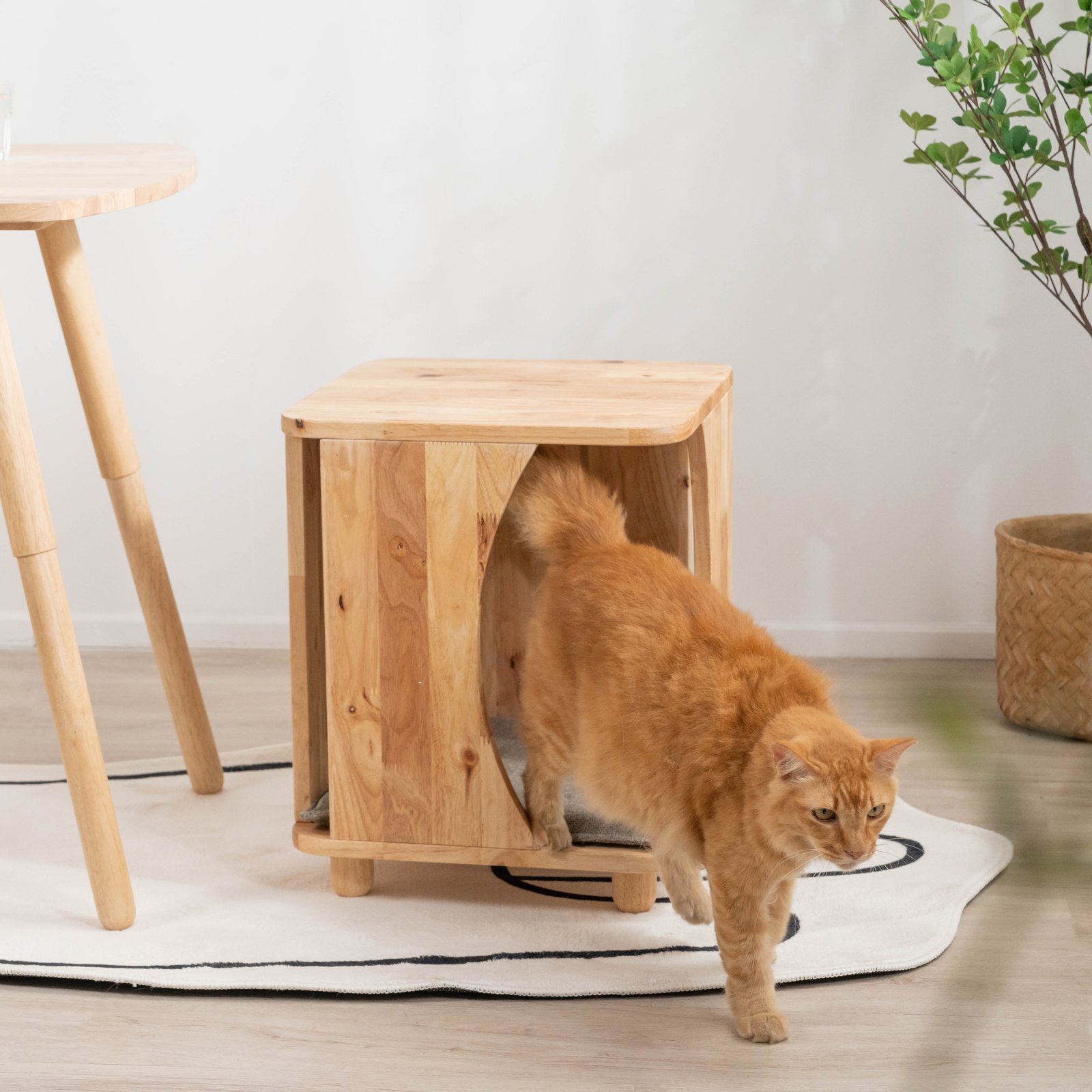 【Natural Signature オリジナル】　ペットスツール