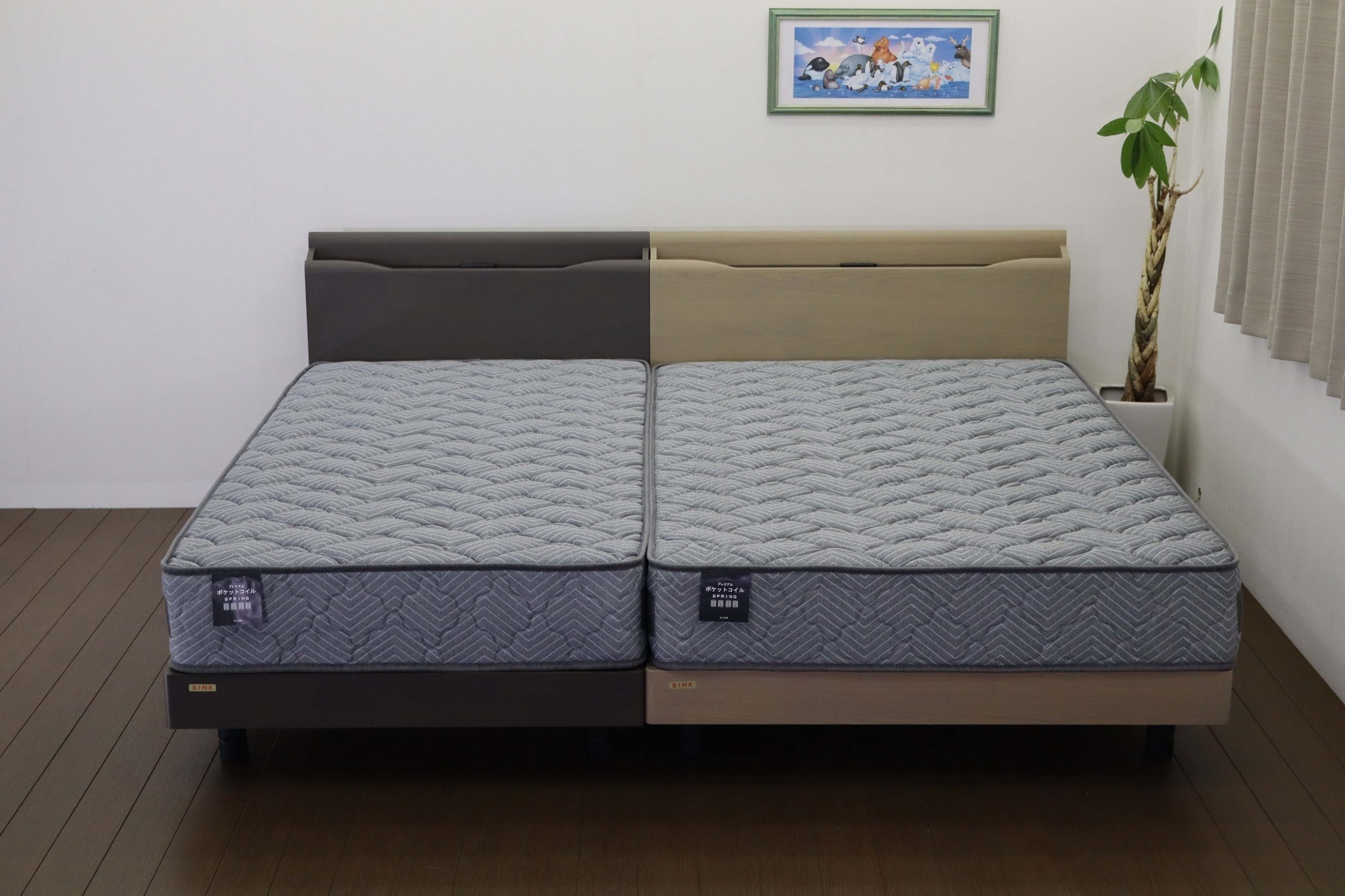 シングルサイズ